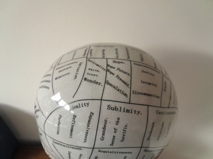 L.N. Fowler Phrenology Head 40cm