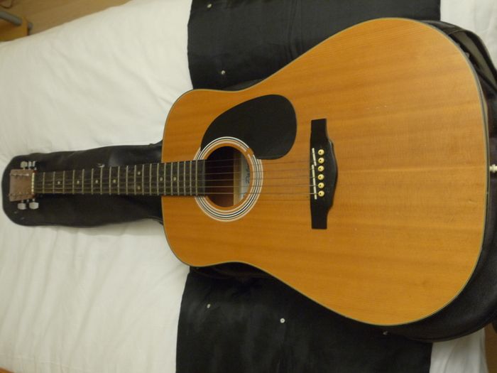 Palmer P41n - 1990 nice solid wood & great sound