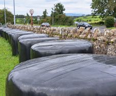 17 Silage Bales remaining for quick sale