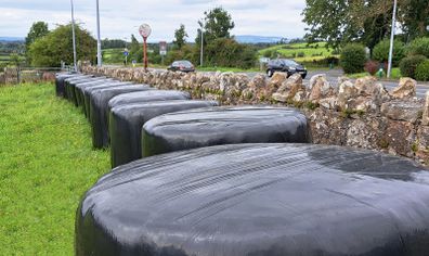 17 Silage Bales remaining for quick sale