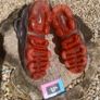 Premium Nike Vapormax TN Shark Image 3
