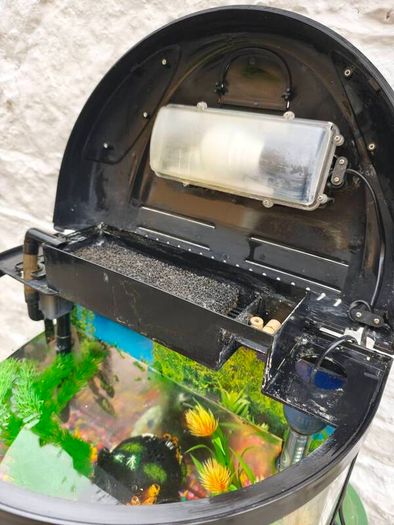 Fish Tank