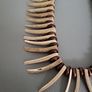 Crocodile Dundee necklace. Image 3