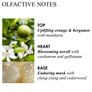 MOLTON BROWN Orange & Bergamot Body Lotion 300ml Image 3