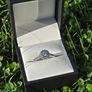 Brand New 18ct White Gold Round Halo Cluster Engagement Ring Image 3
