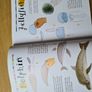 Modeling clay Animals book Image 6