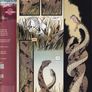 Pretty Deadly #6 (2014) Image Comic Image 2