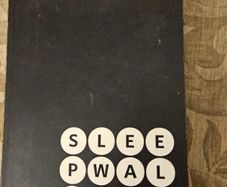 Sleepwalkers. The Dublin City Gallery.  The Hugh Lane. Large Volume Paperback.  In Good Condition.  See Photos For Same