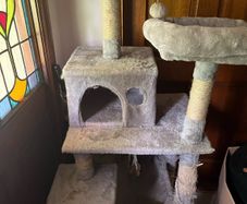 large cat tree
