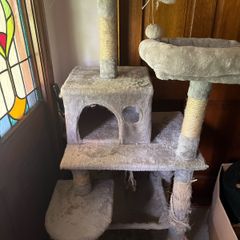 large cat tree