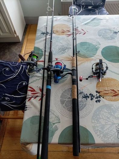2 spinning rods 3 reels