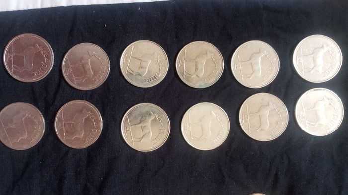 Coin