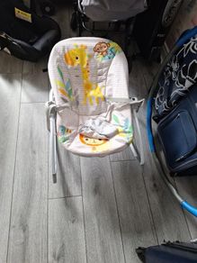 Baby Bouncer
