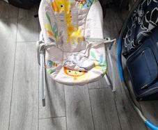 Baby Bouncer