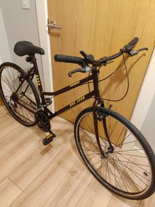 Bicycle. Medium frame.