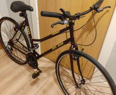 Bicycle. Medium frame.