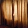 Heavy Curtains+ tie backs Image 5