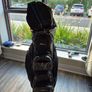 golf bag Image 4