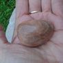 Peach Moonstone.Moonstone pebbles,Crystals, Image 3