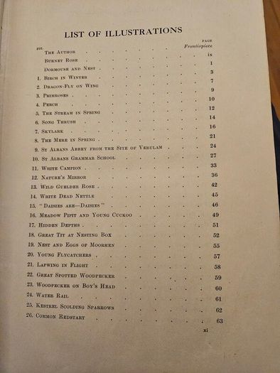 My Life As A Naturalistic. By W. Percival Westell. First Edition 1918 Hardback In Fair Condition.  See Photos For Same.
