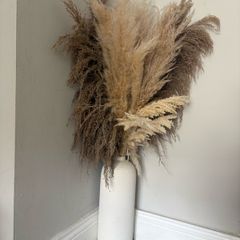 vase