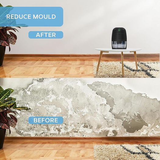Dehumidifier 600ml, Small and Compact Moisture Absorber - Mini Air Dehumidifier for Home, Bedroom Damp, Office, Garage & Basement - Portable Electric Mould, Damp and Condensation Remover