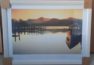 Large Framed Picture / Print