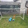 Goal Image 2