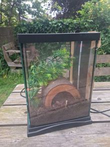 Terrarium with heater