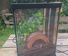 Terrarium with heater