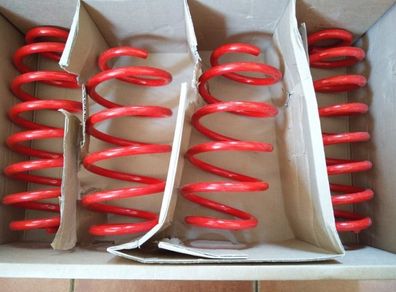 Vw Passat B6 Estate / Variant From 2005 - ... Lowering Springs