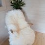Sheepskin Image 2