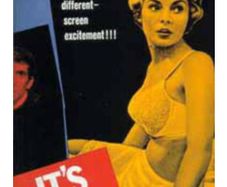 Psycho novel