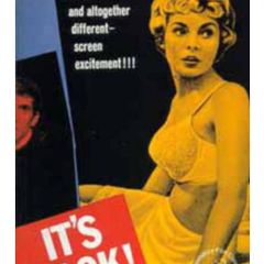 Psycho novel