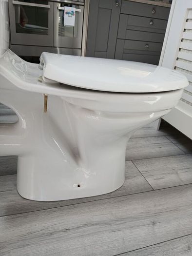 toilet