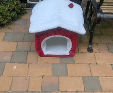 Cat House