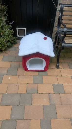 Cat House