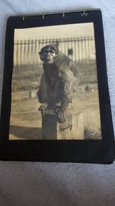 vintage photos