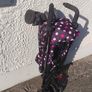 buggy Image 4