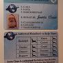 Santa Sleigh Driving Licence Image 2