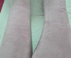 Pregnancy pillow