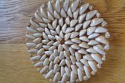 Hand Crafted Sea Shell Trivet for Sale