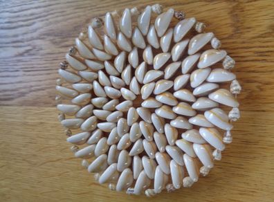 Hand Crafted Sea Shell Trivet for Sale