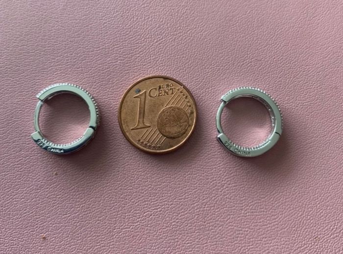 Sterling Silver Earring