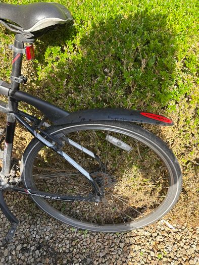 Carrera Road Bike