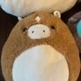 Collection of four Squishmallows plush toys, plus Micromallows Image 3