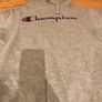 Champion Grey Hoodie Image 2