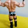 WWE Wrestlers action Figure Image 6