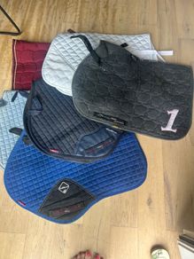 Equestrian