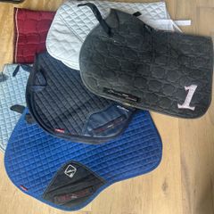 Equestrian